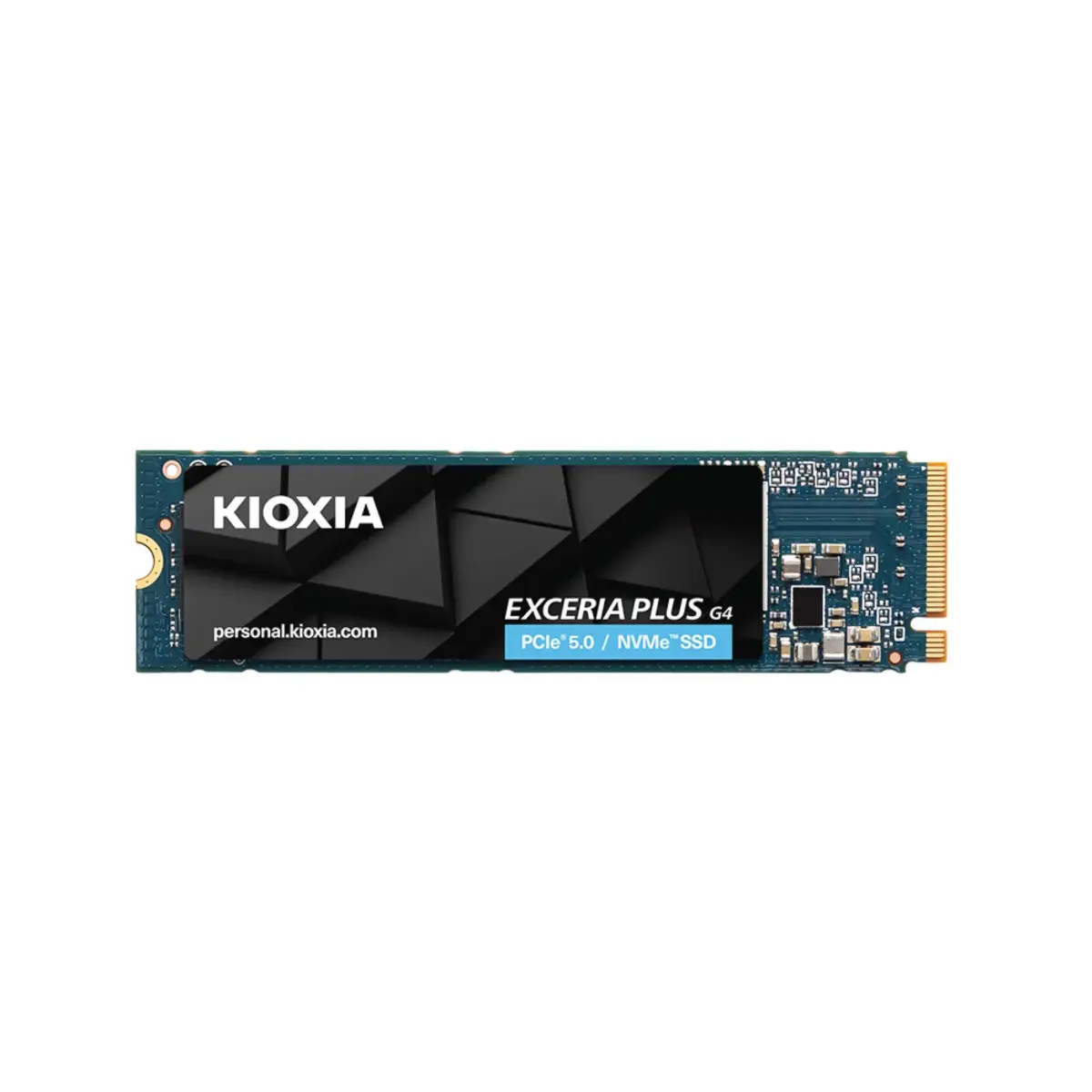SSD Kioxia Exceria Plus G4 1TB PCIe Gen 5 (R 10,000 MB/s, W 7900 MB/s) - Ảnh 1
