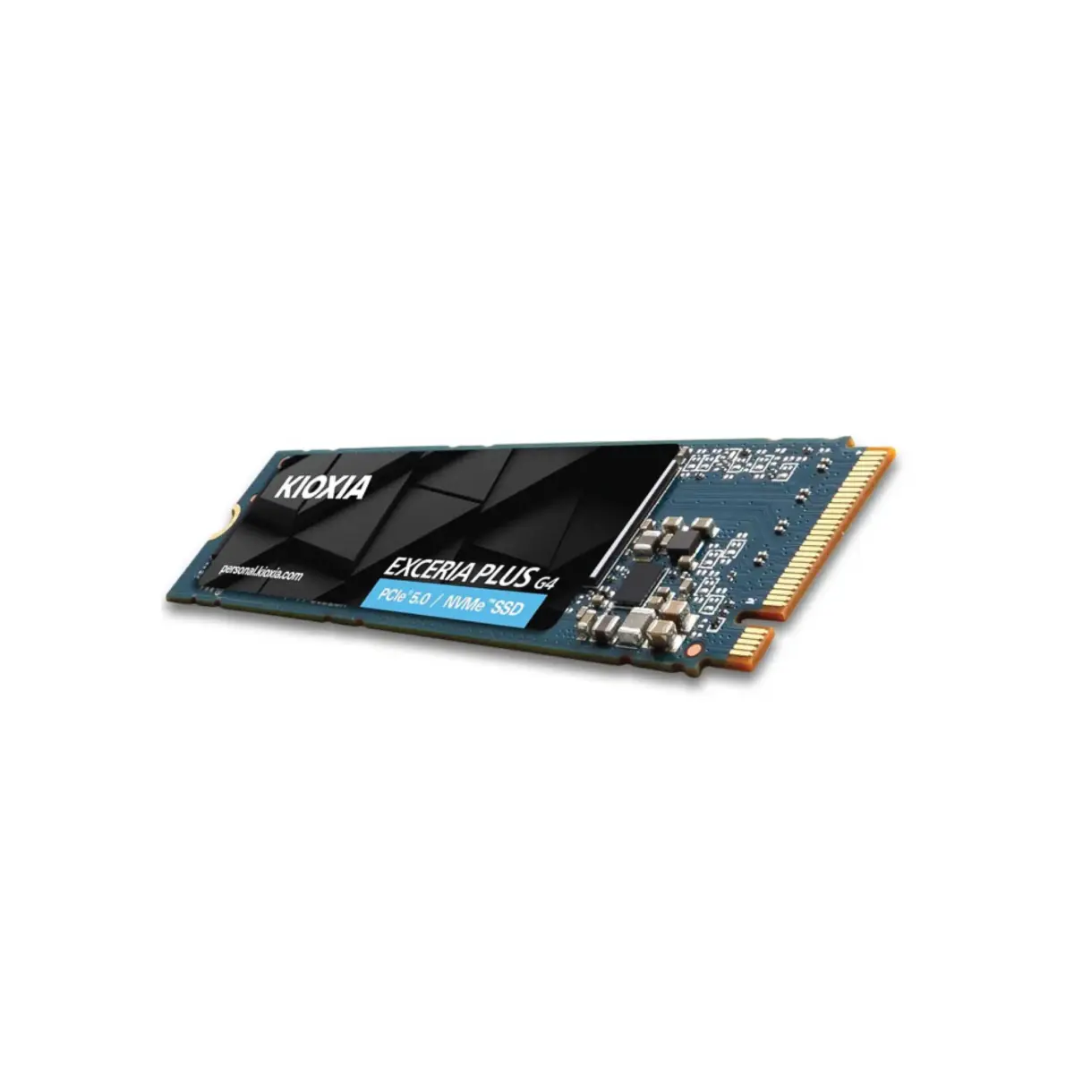 SSD Kioxia Exceria Plus G4 1TB PCIe Gen 5 (R 10,000 MB/s, W 7900 MB/s) - Ảnh 2