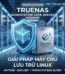 Giai Phap May Chu Luu Tru Linux TrueNAS Thay The Windows Server Chia Se Phan Quyen Du Lieu