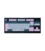 Ban Phim Gaming Razer BlackWidow V4 Tenkeyless HyperSpeed Wuthering Waves Edition RZ03 05481200 R3M1 1