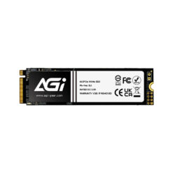 SSD NVMe AGI AI198 256GB (AGI256G80AI198R-CB)